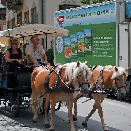 Holiday Tiroler Gastehaus 1 بيت للعطل زيل أم زيلر